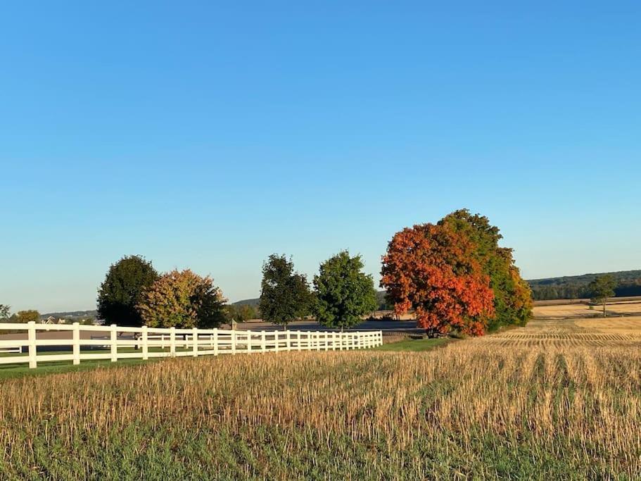 Farmhouse Guest Suite, Pool, Hot Tub, Horses Midhurst Экстерьер фото